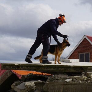 All Posts 68 300x300